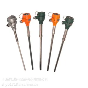 WR系列化工专用热电偶WRNR-15