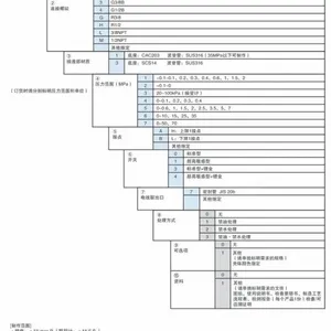 长野计器NAGANO KEIKI压力开关CQ21***销售