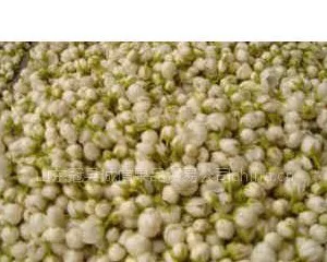 供应供应梨花花粉,鸭梨,丰水梨梨花