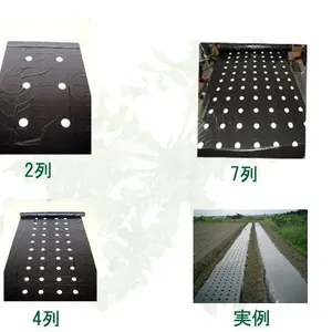 供应pe白色 打孔可降解农用地膜