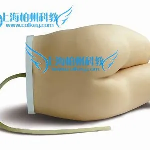 供应导尿灌肠练习模型,灌肠训练模型