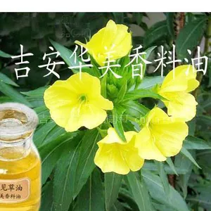 供应月见草油