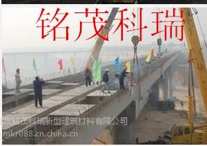 供应江苏FYT-1桥面路面防水涂料厂家
