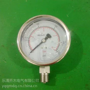 304����ѹ����/����ֳ���ѹ����/���ڱ�/YTN-100BFҺѹ��
