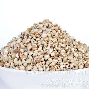 厂家直销 五谷杂粮 优质薏仁米 薏米 薏米批发 薏米仁药用