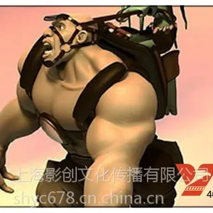 供应上海视频制作 上海宣传片制作 上海专业视频剪接