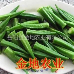 供应黄秋葵 红秋葵 秋葵种子批发 送种植