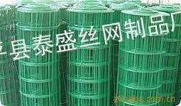 供应优质浸塑电焊网