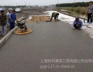 供应【厂家大量供应】彩色透水混凝土/生态水泥透水地坪