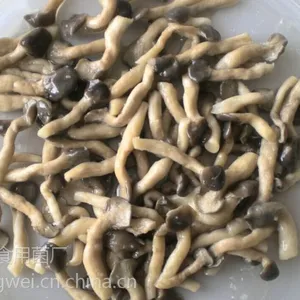 河北供应盐渍姬菇，出口内销均有。常年供应。