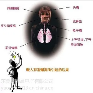 供应有害烟雾处理器,有害烟雾回收装置,有害烟雾收集器