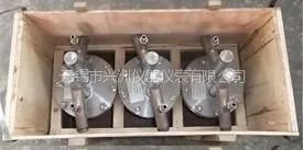 供应【】风流速测量采用阿牛巴生产厂家***兴洲仪表