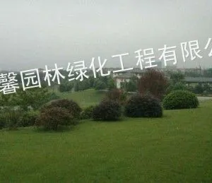 上海城市园林绿化专业承包绿化 提供景观设计、施工、养护一体化服务