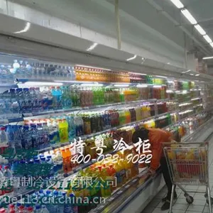 《外高桥 自贸区 DIG超市用的哪家的岛柜?特粤冷柜》