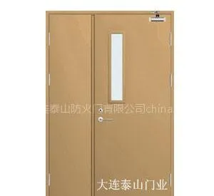 供应泰字牌FM1221/1521/1821钢质防火门 钢质隔热防火门