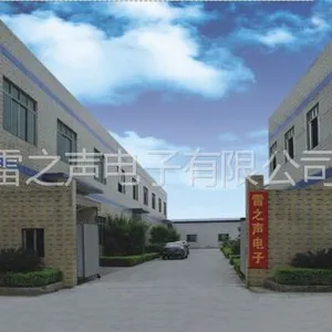 广东雷之声电子科技有限公司