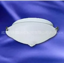 供应红外感应吸顶灯具