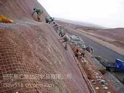 ���ֲ����˿�������粥��˿����п��˿��
