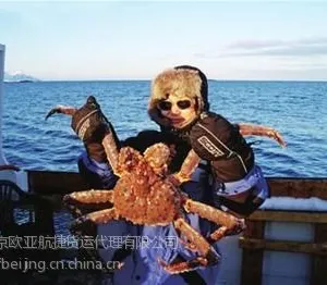 ��Ӧ���ô���Ϻ���ڴ���|�����ʻ����|�����ʻ����ͨ��������˾