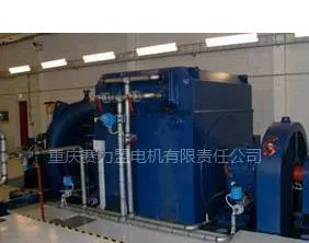 重庆赛力盟电机有限责任公司