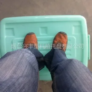 ��Ӧ��Ӧ��̨���ִ�������������|�Ա���|����β��������