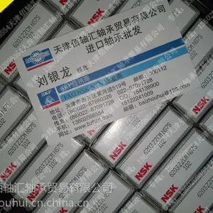 供应旭日精工NSK品牌6203ZZCM NS7S 102轴承,深沟球系列批发商