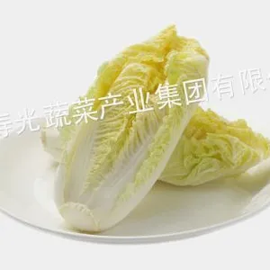 供应供应优质娃娃菜 精品