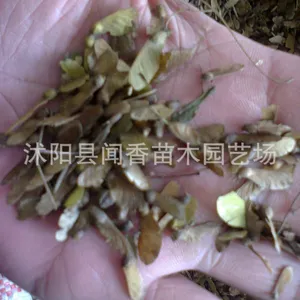 ��Ӧ�������***����������Ӽ۸� �������ֲ���� �ձ�����Ѽ۸�