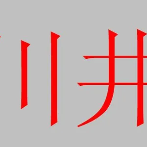 深圳川井贸易有限公司