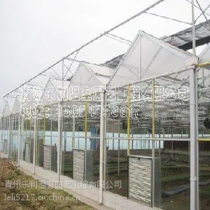 【2015】专业蔬菜温室建设-青州乐利温室