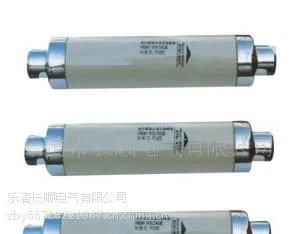 供应长期供应 XRNT-10高压熔断器