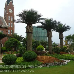 圣杰仿真海枣树玻璃钢大型假树椰子树 别墅游乐园装饰定制 订做