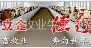 嘉祥县诚德牛羊驴养殖场