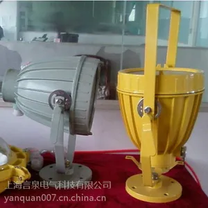 【金卤灯BTC8210-J250(250W)防爆投光灯】强光外场防爆投光灯