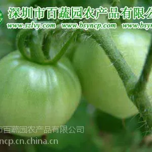 供应深圳送菜公司百蔬园送菜_深圳龙岗区生活配送_
