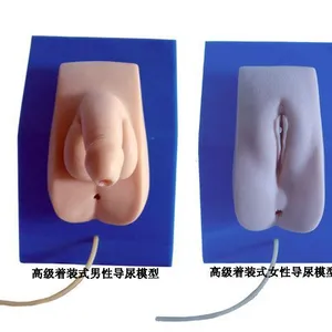 供应女性导尿模型,,简易型导尿模型