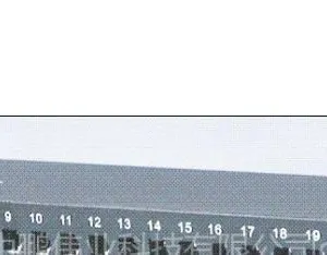 供应深圳中鹏伟业RJ45千兆网络信号防雷器(24口)