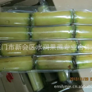 供应供应成品甘蔗 真空包装甘蔗