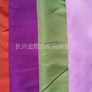 供应长兴全涤染色磨毛布素色布春亚纺