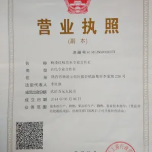 供应户太户太8号葡萄苗|陕西户太葡萄苗|陕西户太葡萄苗批发