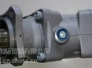 HAWE齿轮泵