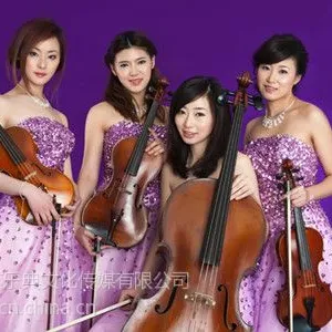 供应北京演出公司天弦乐典