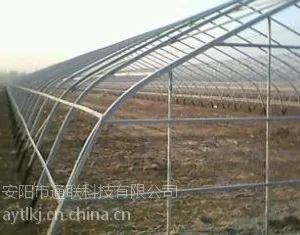 供应单栋温室大棚建设单栋温室大棚建设建议单栋温室大棚建设厂家