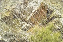 山坡护栏网