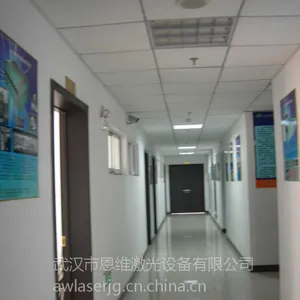 武汉毛领激光切割机厂家
