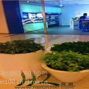 ��Ӧ�Ϻ�����԰��ֲ���̻����ޡ�����������