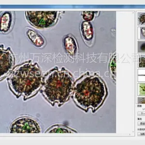 供应万深多功能生物监测仪AlgaeC型藻类智能鉴定计数仪