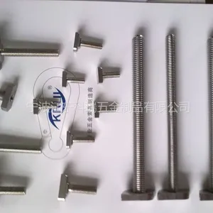 供应不锈钢T型螺丝