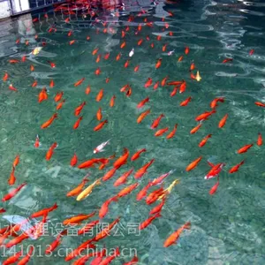 郑州涌泉牌景观池水循环处理、无需放消毒剂、***鱼类的存活。简单、方便、涌泉地埋式YQ-600型号