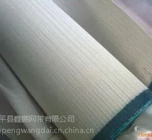 食品网带安平县鑫鹏网带有限公司